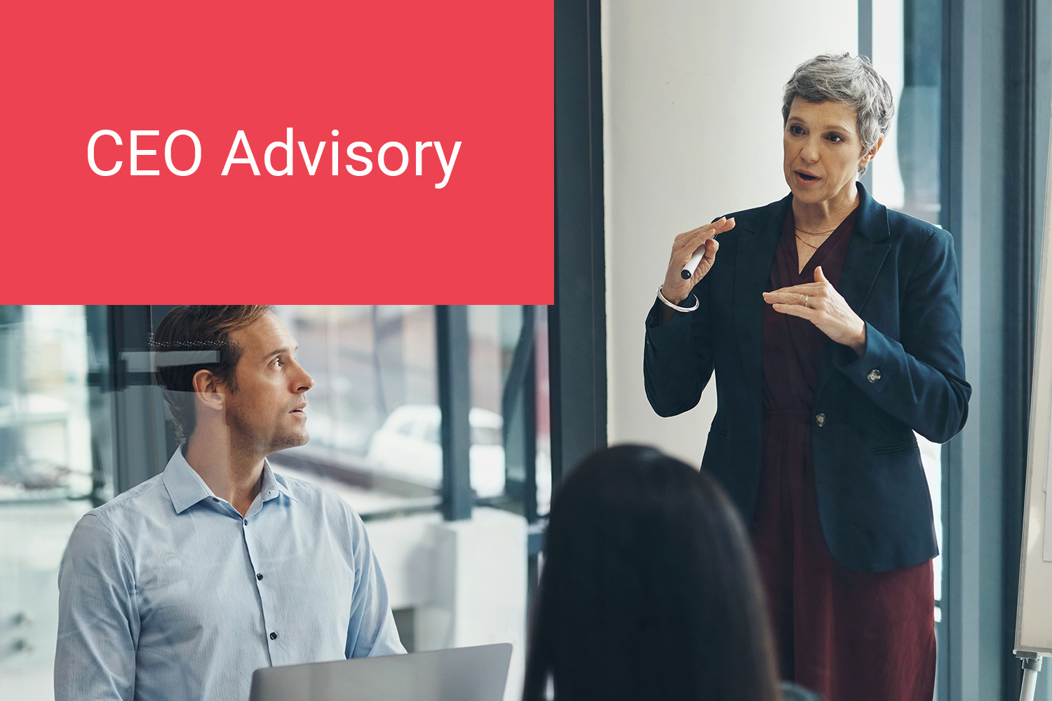 ceo-advisory-card ceo-advisory-card